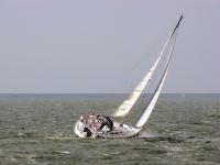 SRN-Sommerflottille: Ijsselmeer/Markermeer - wohin der Wind uns treibt